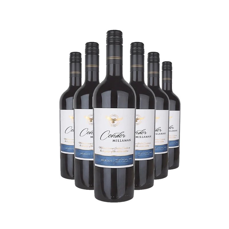 „Condor Millaman Merlot“ – Wein des Monats August