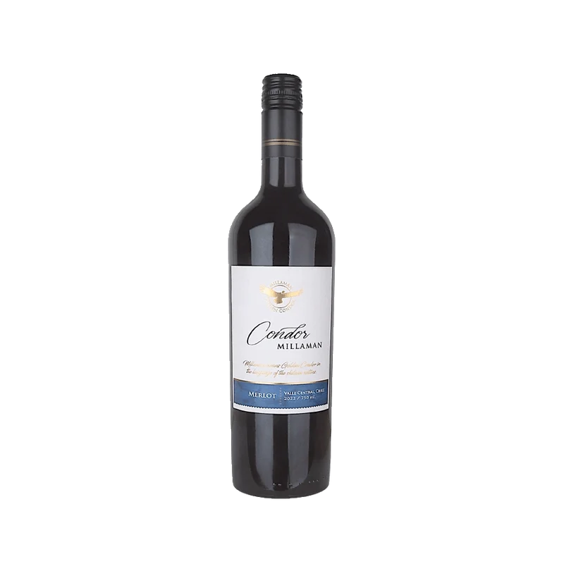 „Condor Millaman Merlot“ – Wein des Monats August