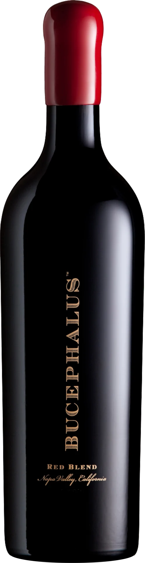 Black Stallion Bucephalus