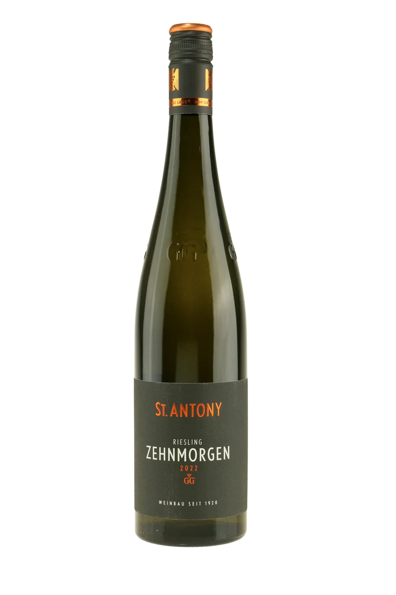 St. Antony Riesling Zehnmorgen GG ØKO