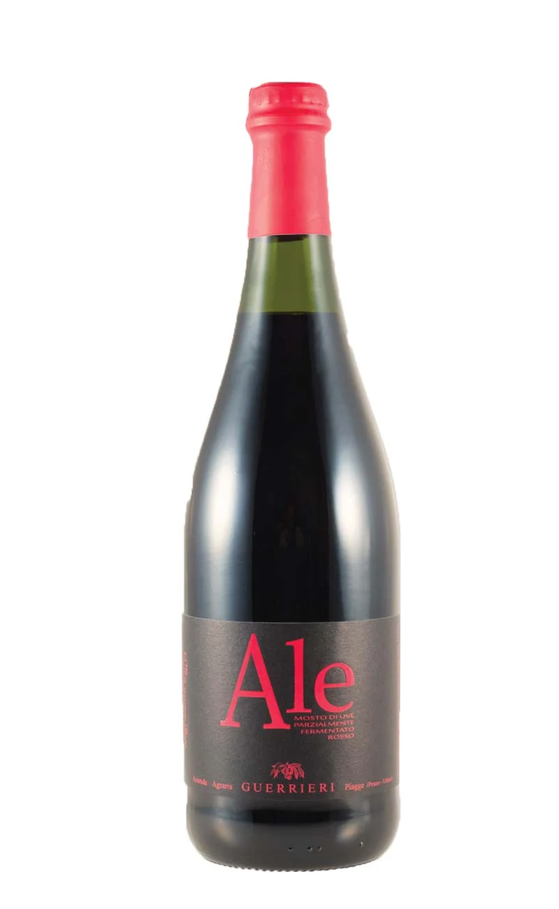Guerrieri Ale N.V.