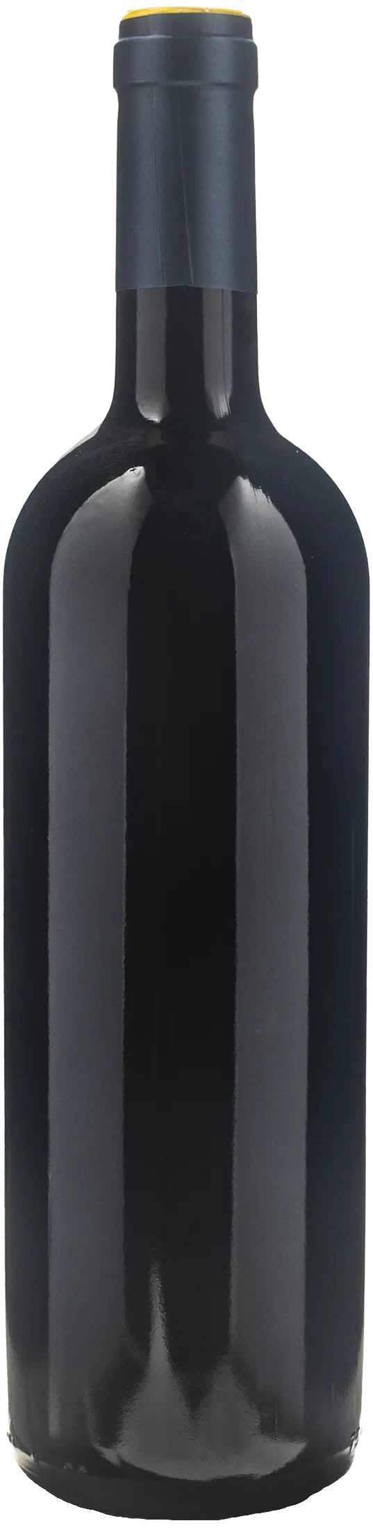 Doro Princic Collio Merlot Etichetta Blu 2022