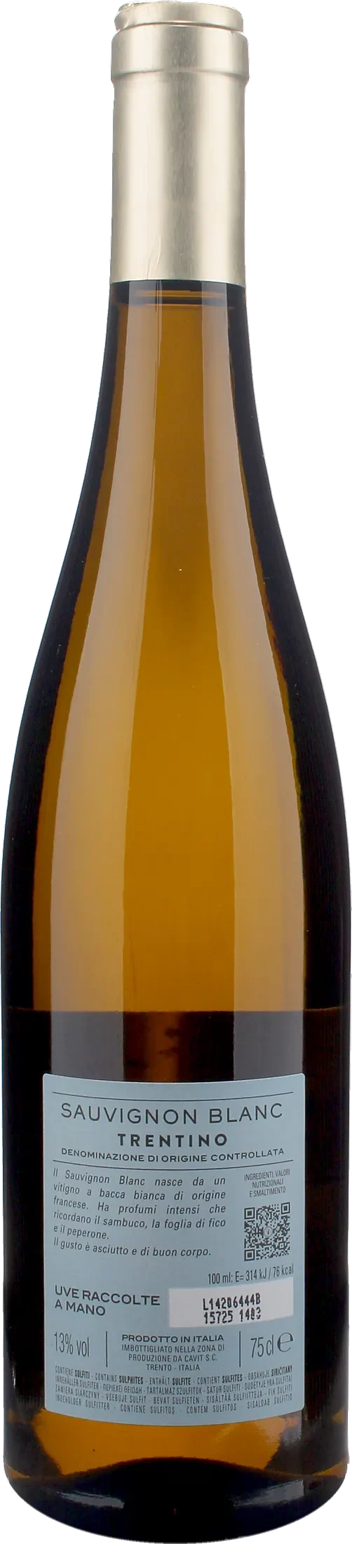 Bottega Vinai Sauvignon Blanc Trentino 2024