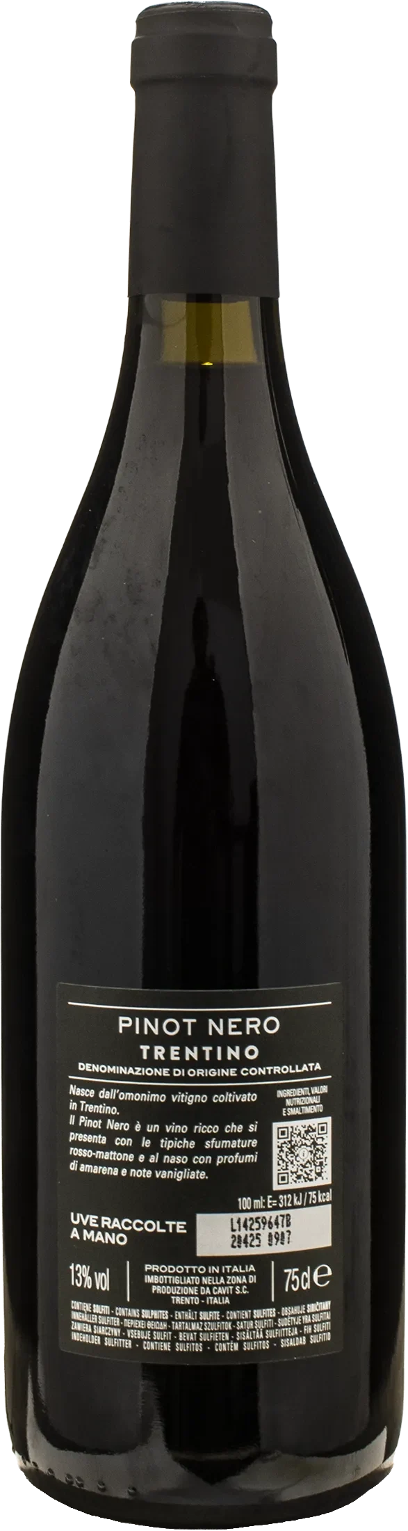 Bottega Vinai Pinot Nero Trentino 2023
