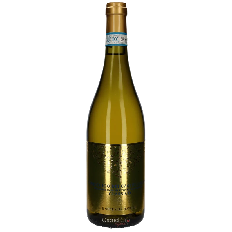 2023 Il Conte Villa Prandone Verdicchio dei Castelli di Jesi DOC