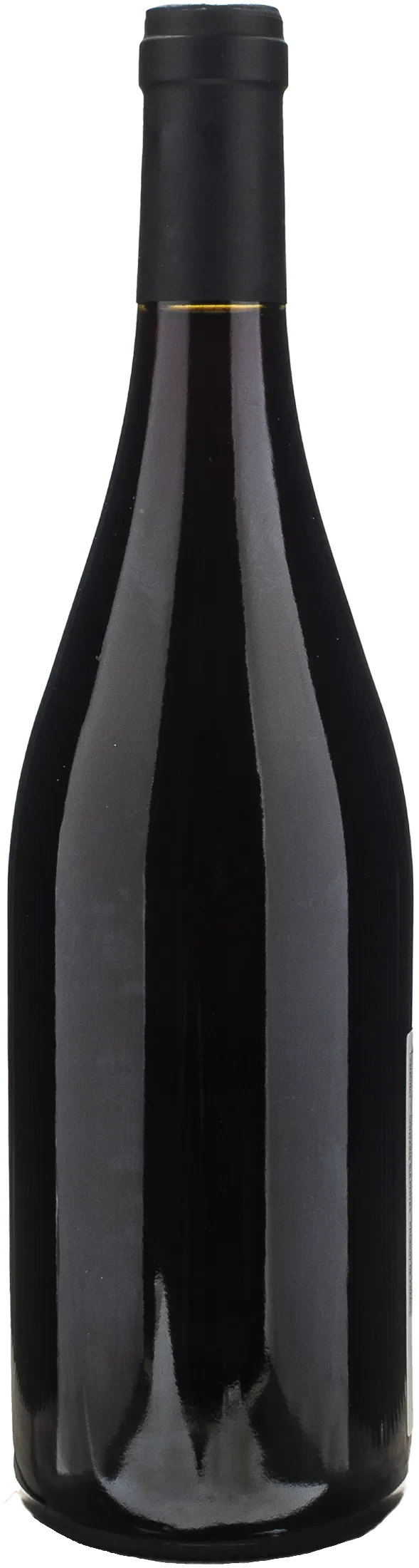 Jean Foillard Morgon 2023