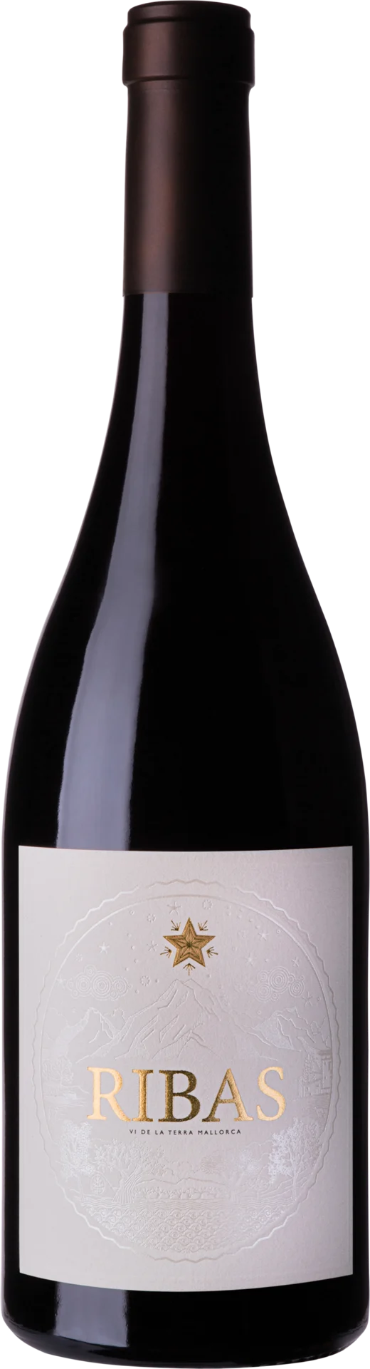 Ribas Negre
