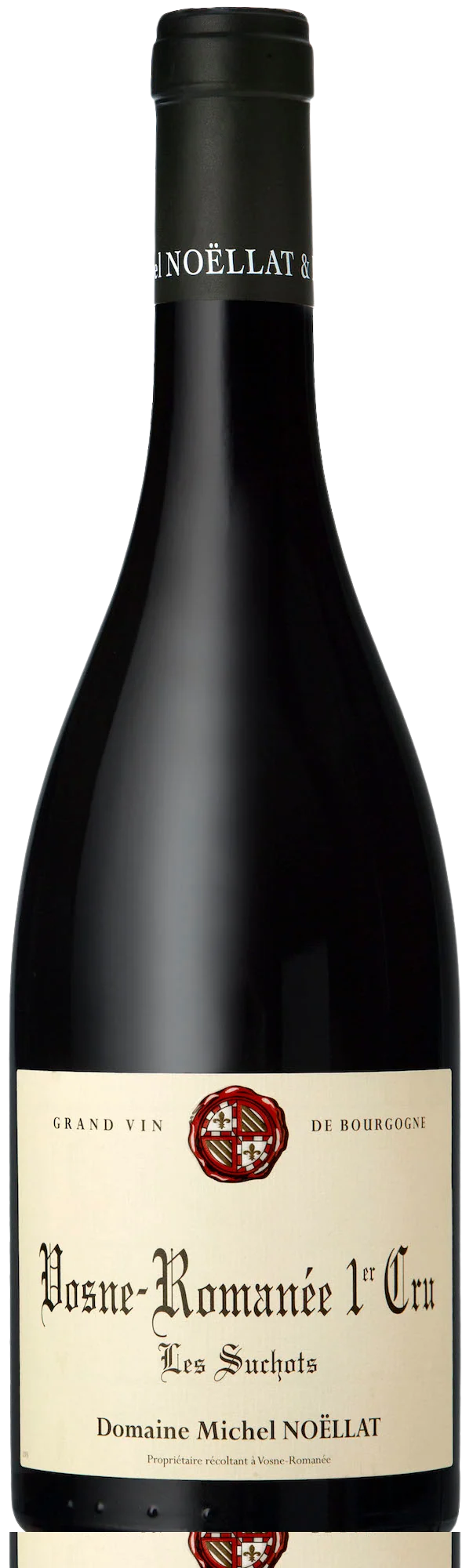 2017 Domaine Michel Noëllat Vosne-Romanee 1er Cru Les Suchots Magnum