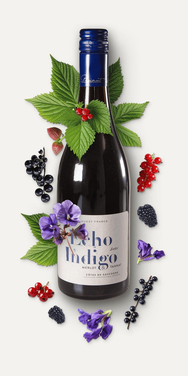 Echo Indigo Rouge