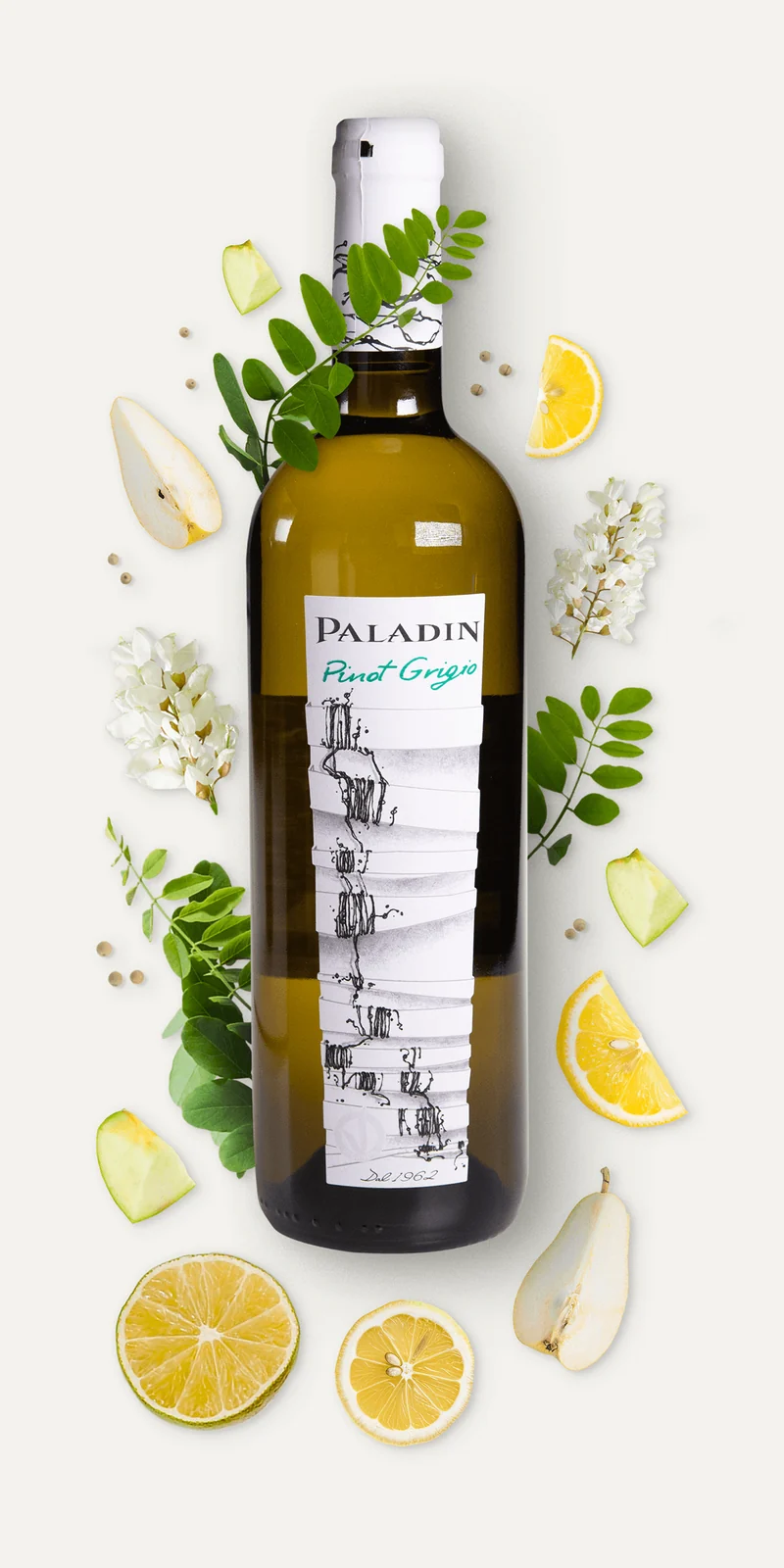 Paladin Pinot Grigio