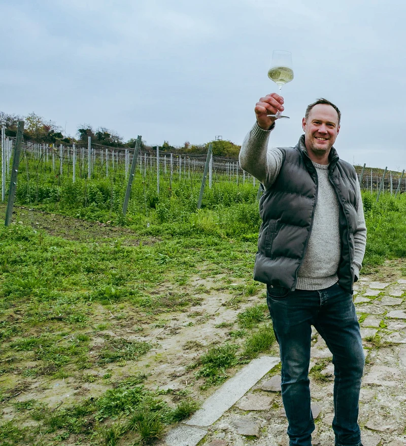 Weincrowd Rosé fuchtsüß 10+2