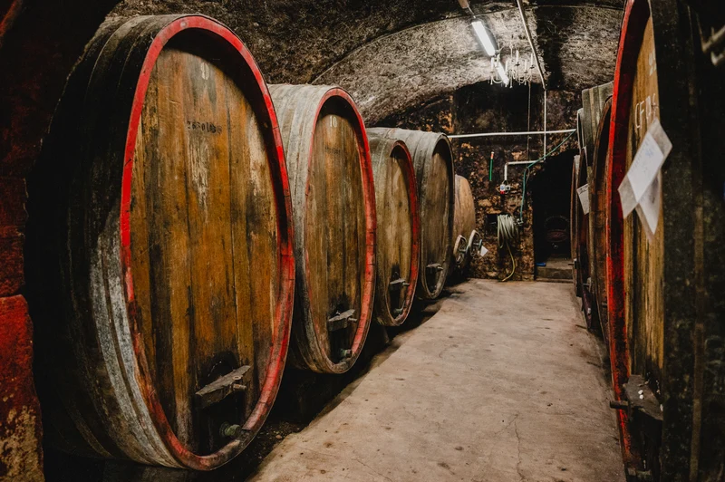 2021 Chardonnay – Library Release (Schatzkammer-Edition)