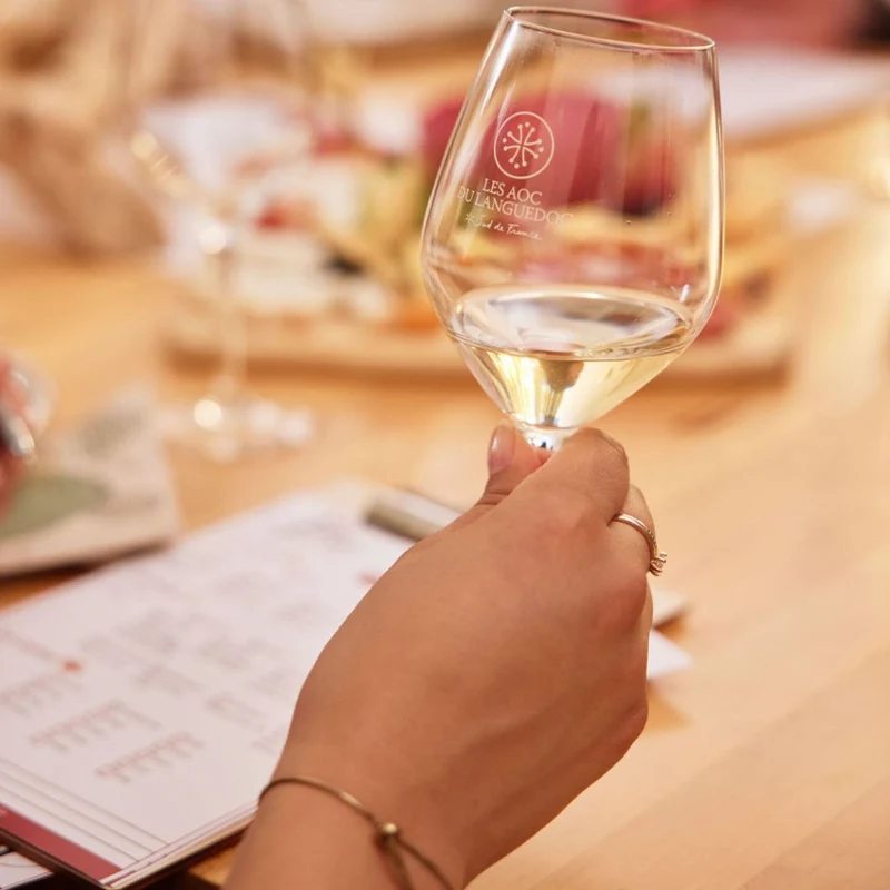 Weinprobe 06.11.2026 - Premium Weine aus Frankreich
