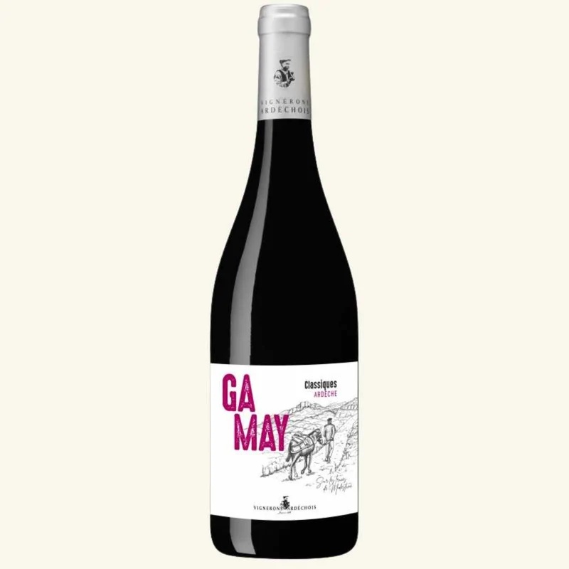 Modestine - Gamay - 2024/2025 - Ardèche IGP