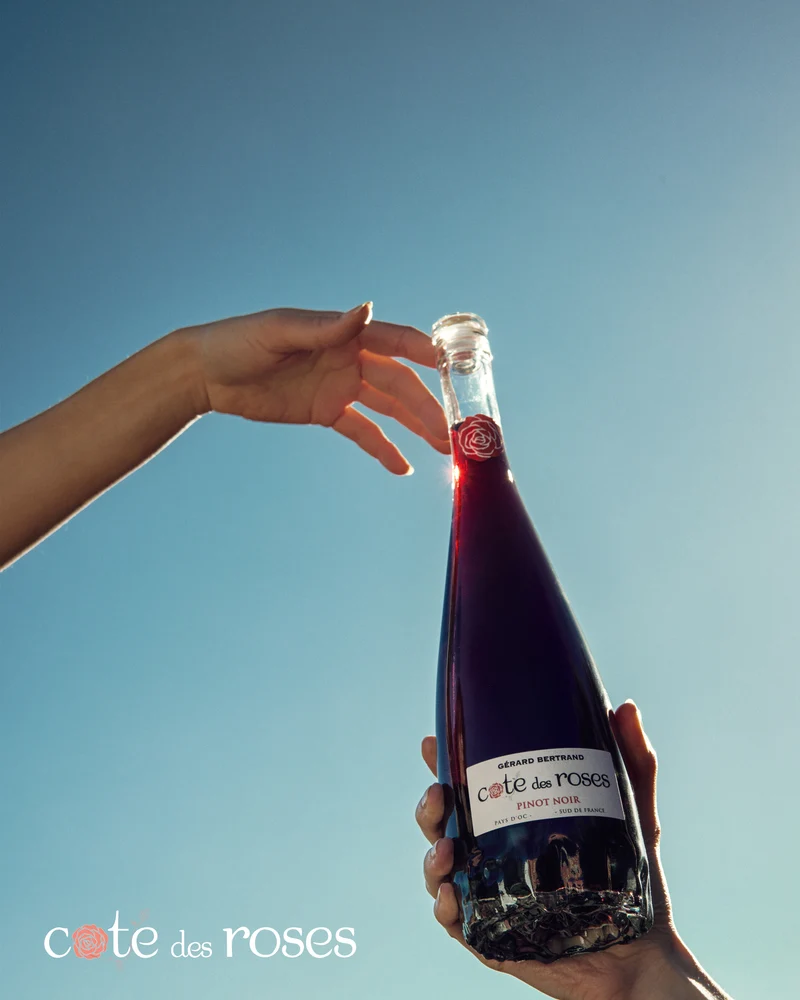 Cote des Roses Pinot noir IGP Pays d'Oc 2024 – Lot 6 Bouteilles 75cl vin rouge