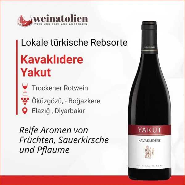 Kavaklıdere Yakut – Türkischer Rotwein aus Anatolien