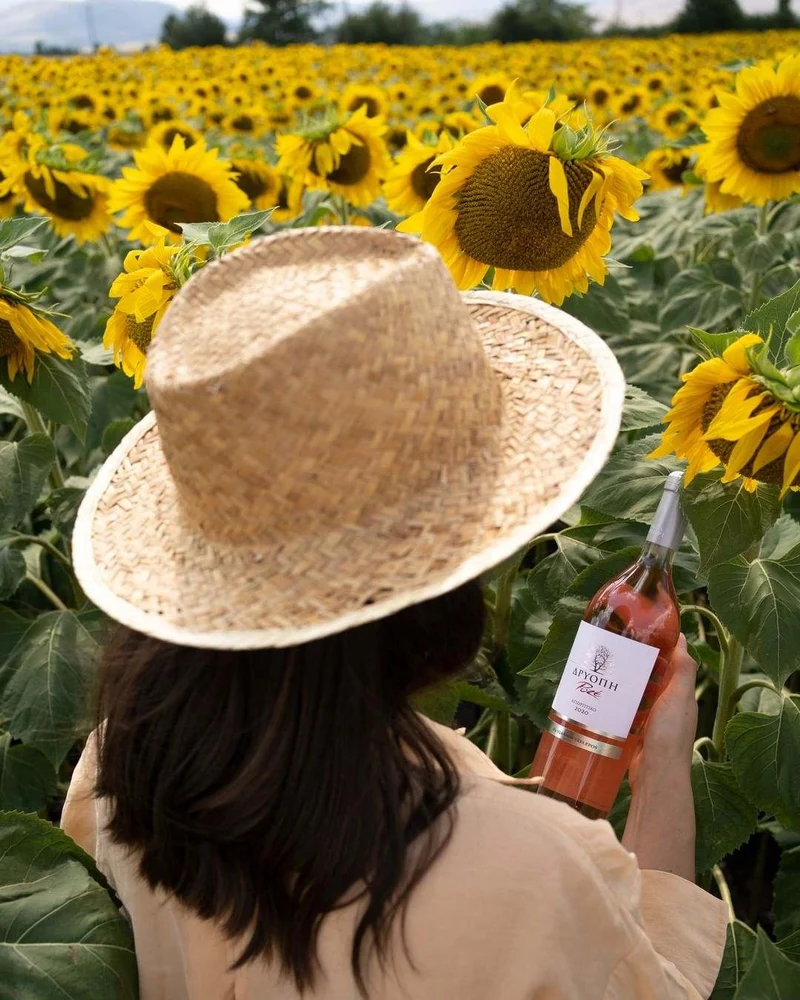 Driopi Rosé - Ktima Driopi