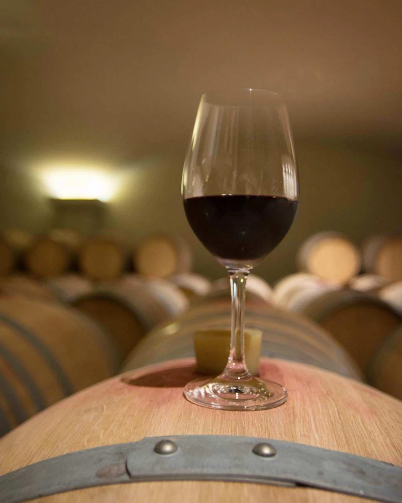 Mega Spileo Syrah - Achaia PGI Kalavrita