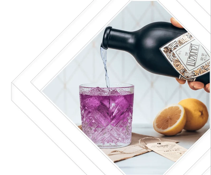 THE ILLUSIONIST DRY GIN 45% Bio