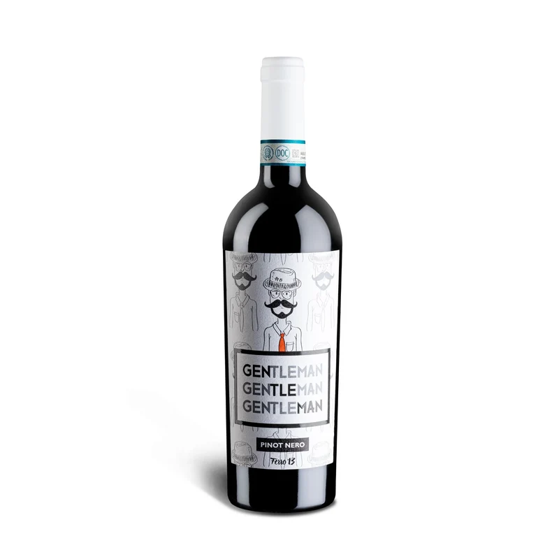 FERRO13 - GENTLEMAN PINOT NERO OLTREPÒ PAVESE DOC 2024 ROTWEIN
