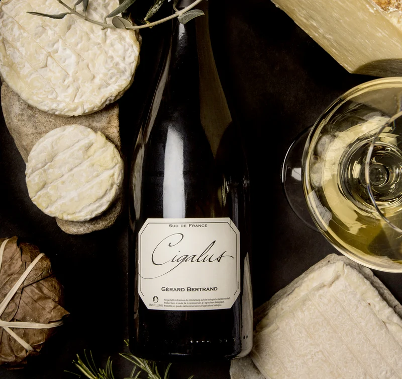 Cigalus IGP Pays d'Oc 2025 – caisse Bois 6 Bouteilles 75cl vin blanc