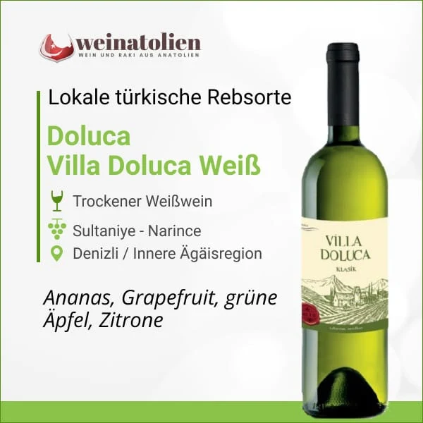 Villa Doluca Weiß – Türkischer Weißwein