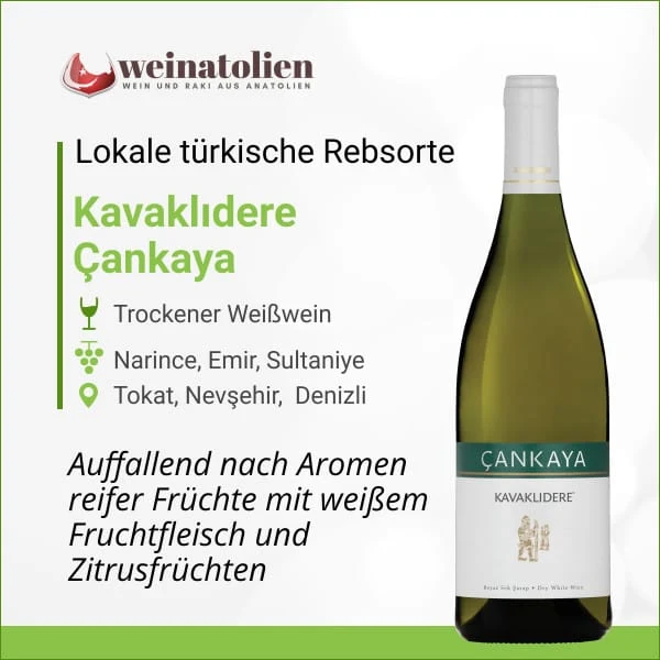 Kavaklıdere Çankaya – Türkischer Weißwein
