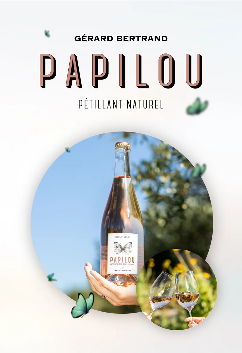 Papilou vin Pétillant Naturel rosé Vin de France 2023 – Lot 3 Bouteilles 75cl vin rosé