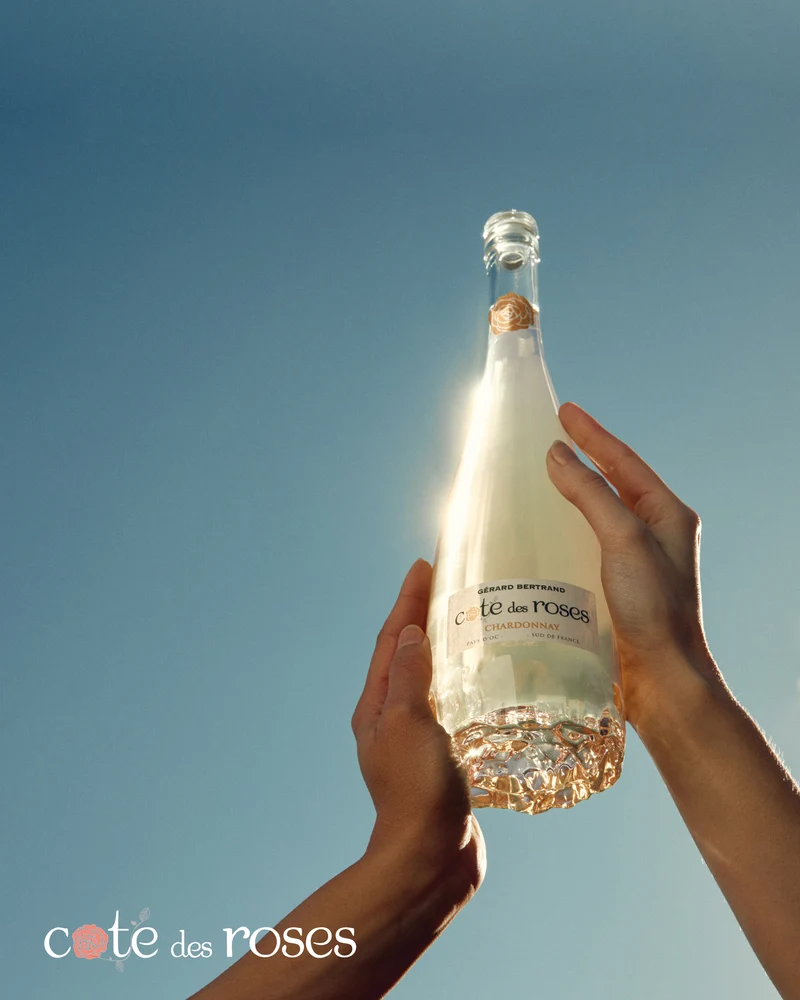 Cote des Roses chardonnay IGP Pays d'Oc 2022 – demi bouteille 37,5cl vin blanc