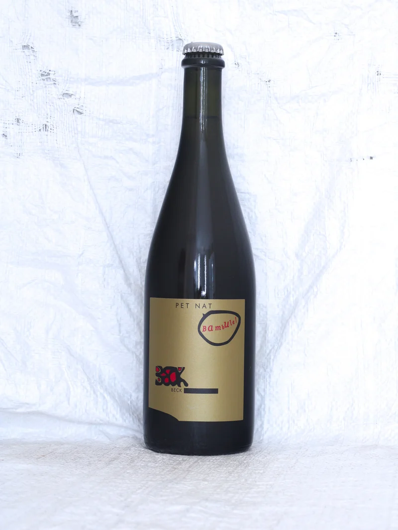 Pet Nat P 2024 0,75L