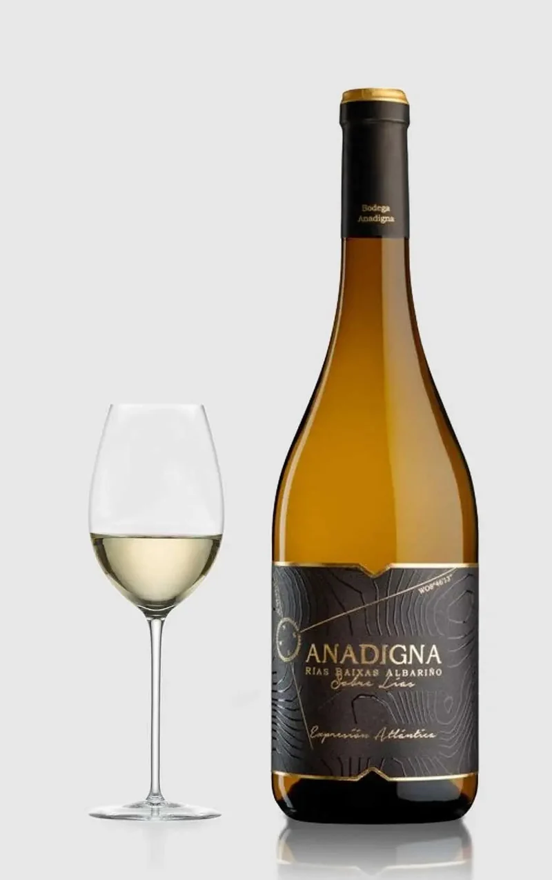 Bodegas Anadigna, Sobre Lias Albarino 2023 White