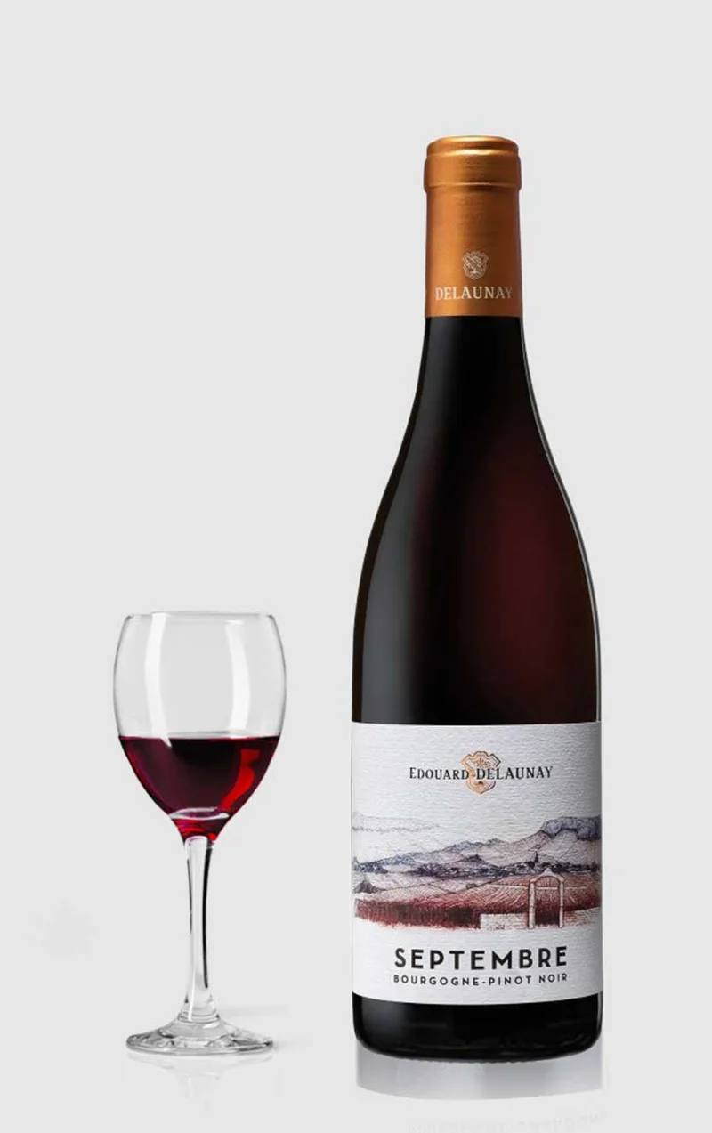 Edouard Delaunay, Bourgogne Pinot Noir Septembre 2022