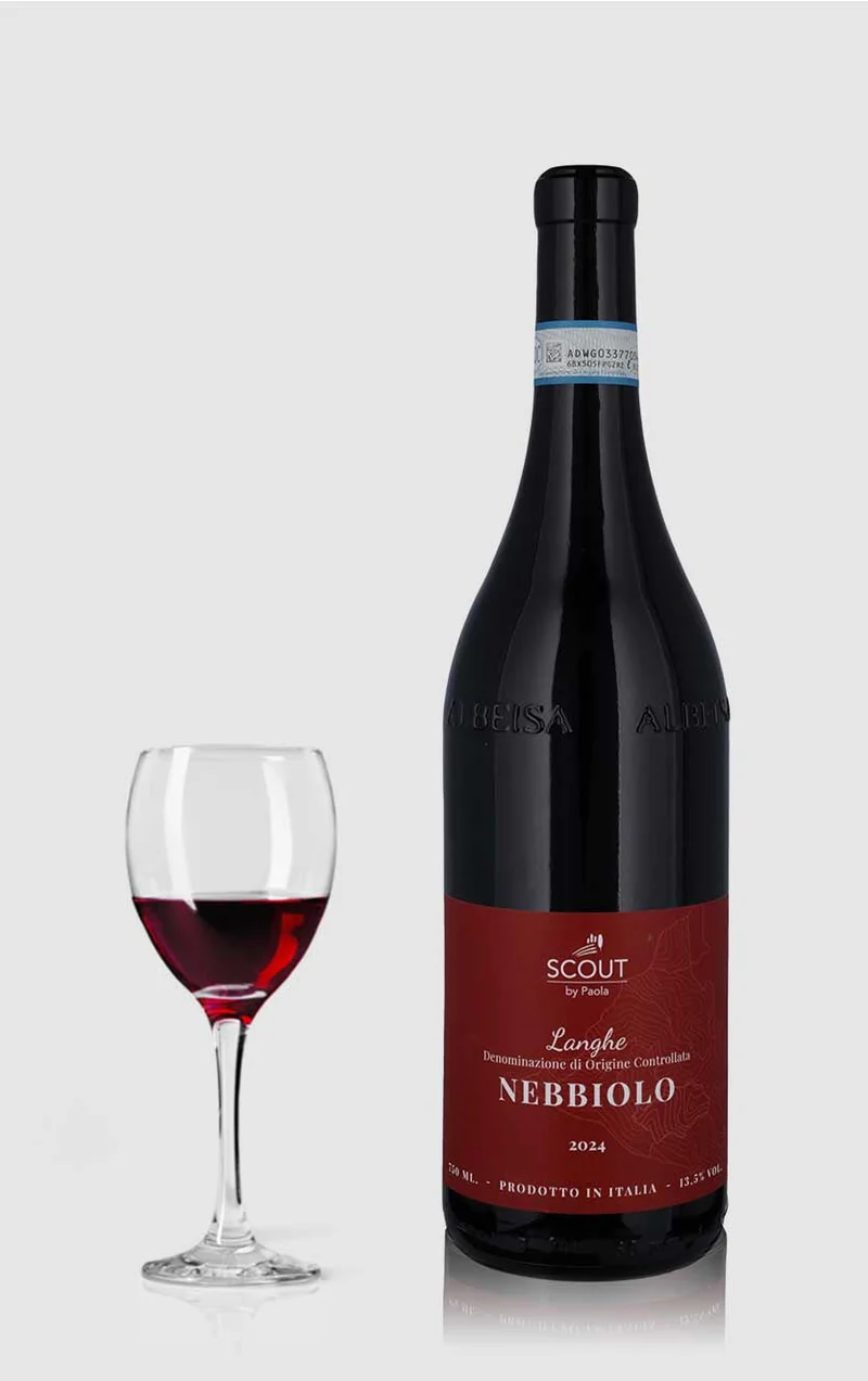 Langhe Nebbiolo Scout by Paola Piemonte 2024