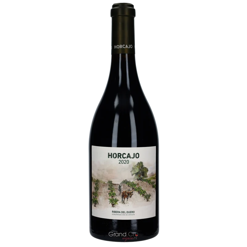 2020 CEPA 21 Horcajo