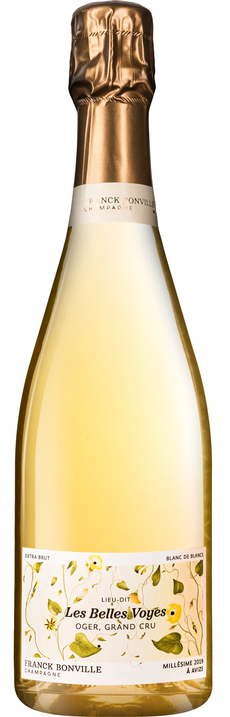Champagne Franck Bonville - 2019 Les Belles Voyes Grand Cru