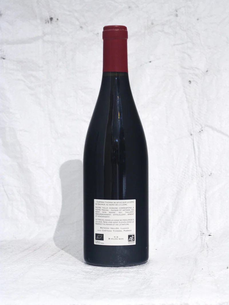 Saumur Champigny Rouge 2022 0,75L Bio