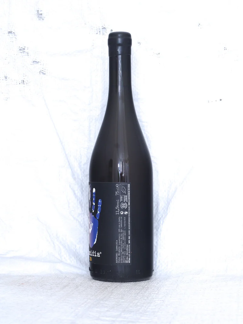 2B 2024 0,75L Bio