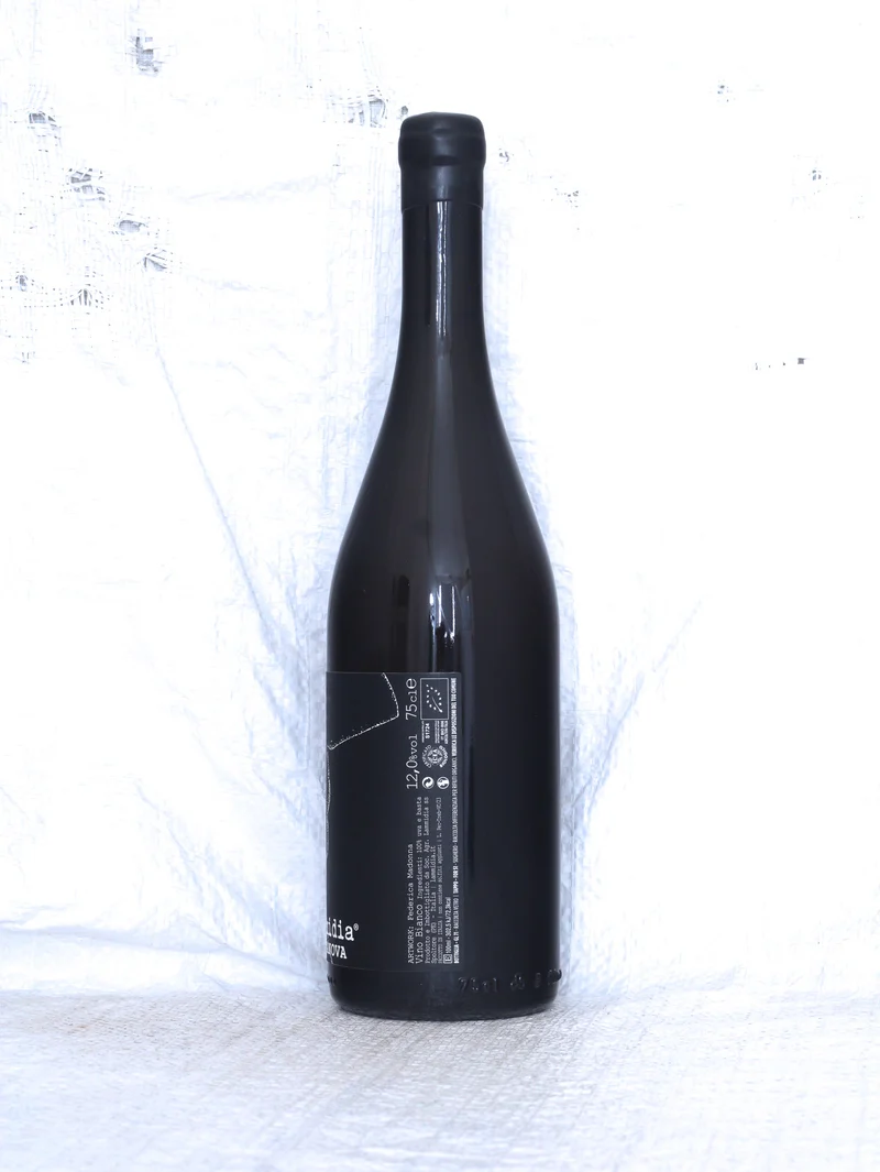 Casanova 2023 0,75L Bio