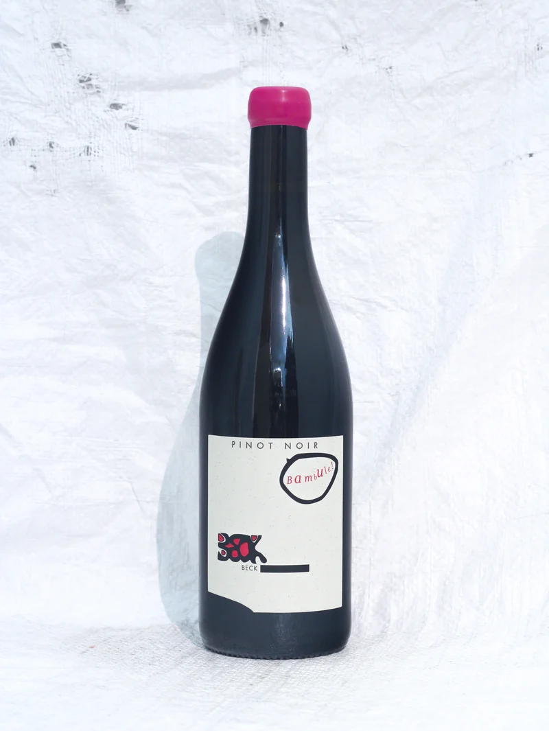 Pinot Noir Bambule 2022 0,75L Bio