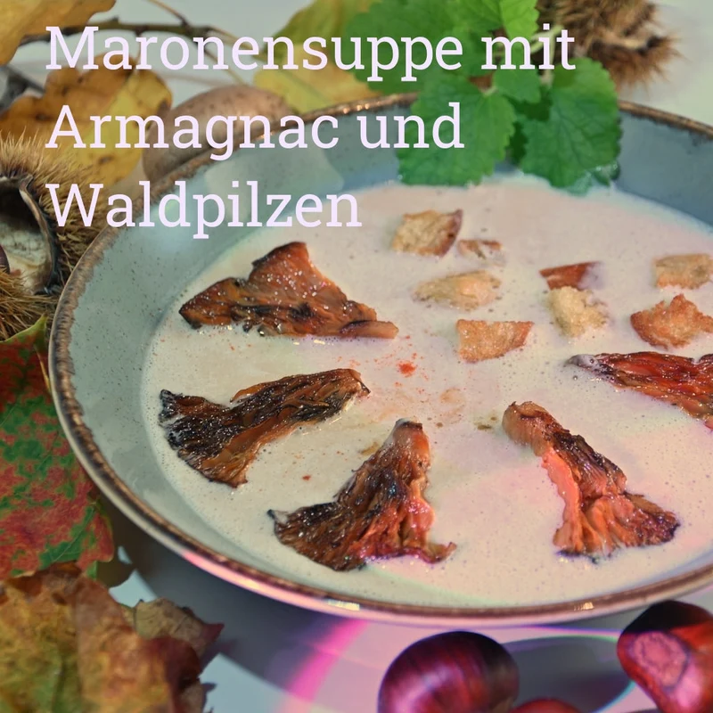 2023 SPÄTBURGUNDER ROTWEIN trocken