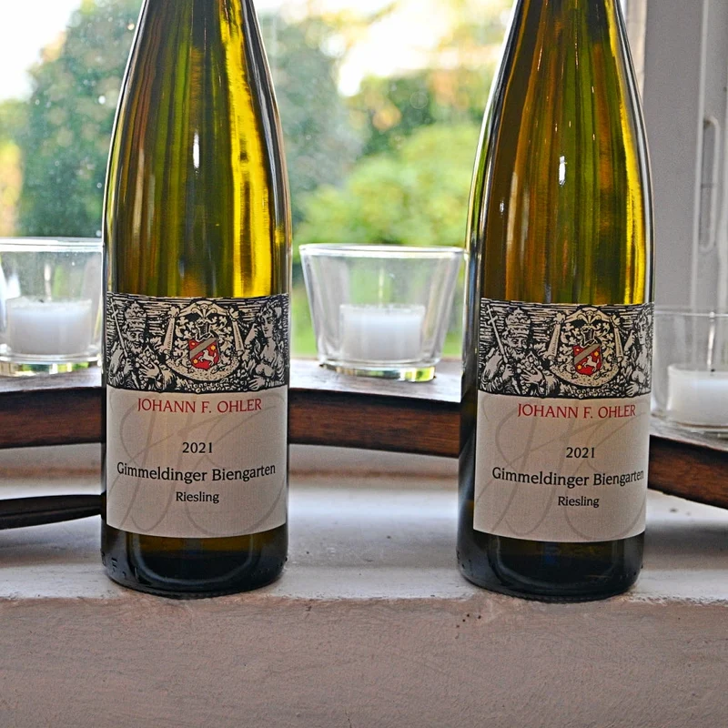 2025 GIMMELDINGER BIENGARTEN RIESLING halbtrocken (bio DE-Öko-039)