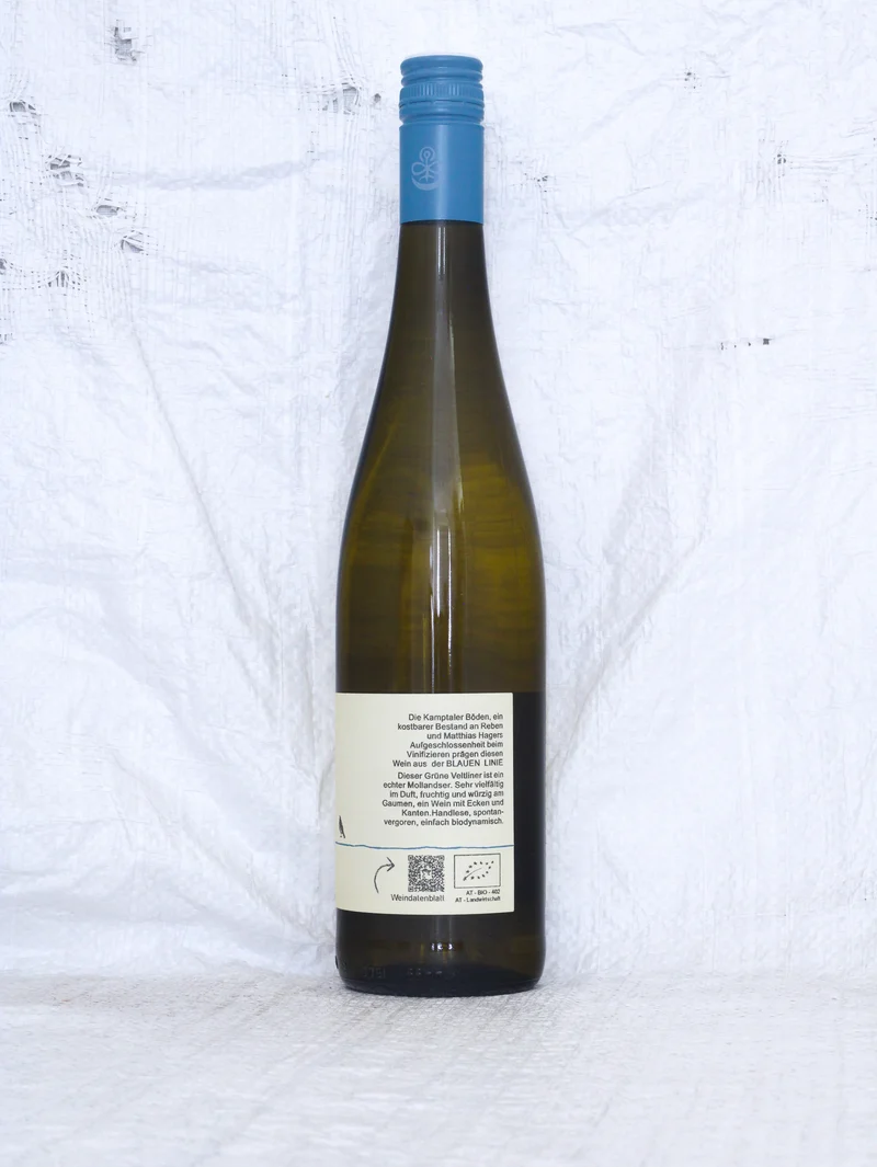 Grüner Veltliner Kamptal DAC 2025 0,75L Bio
