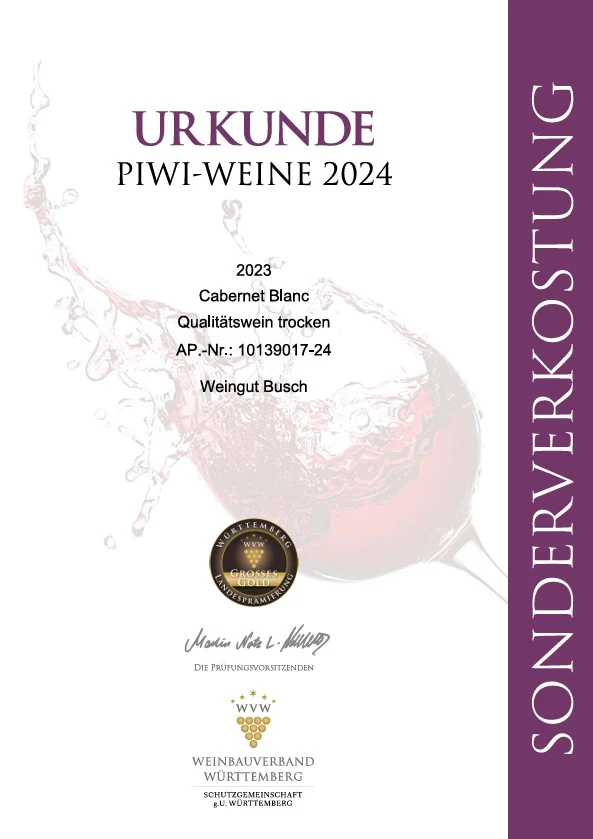 Cabernet Blanc TimeOut *** QbA trocken