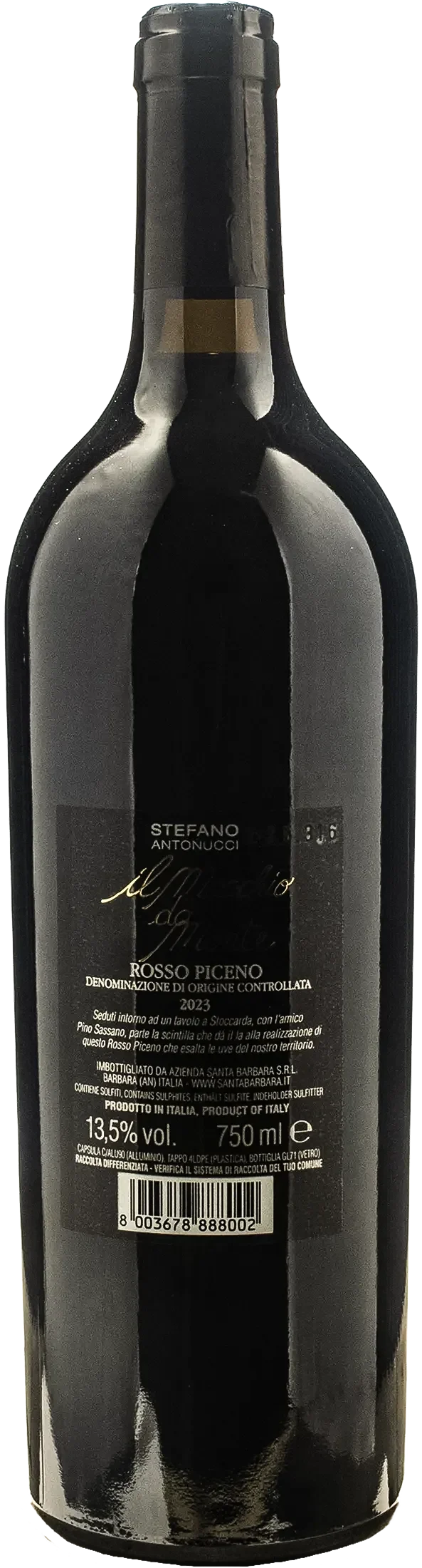 Santa Barbara Rosso Piceno Maschio da Monte 2023