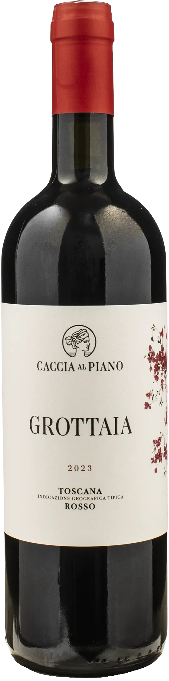 Caccia al Piano Grottaia Rosso 2023