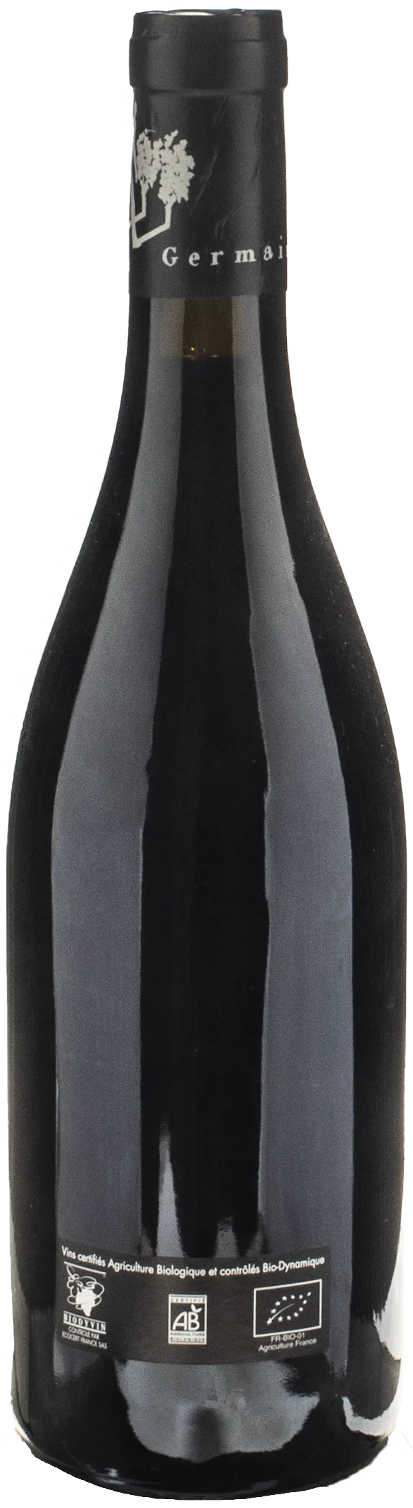 Thierry Germain Domaine des Roches Neuves Saumur Champigny Franc de Pied 2022