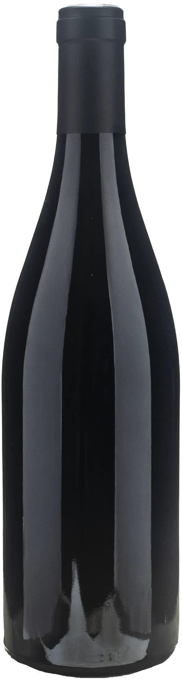 Domaine de la Sarbeche Saint Joseph 2023