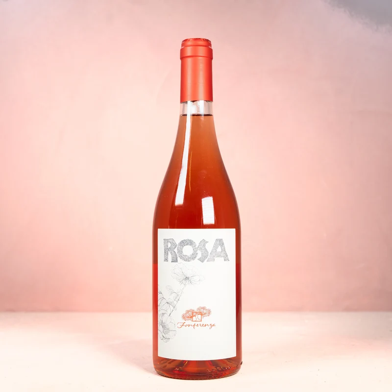 Rosa di Fonterenza 2024