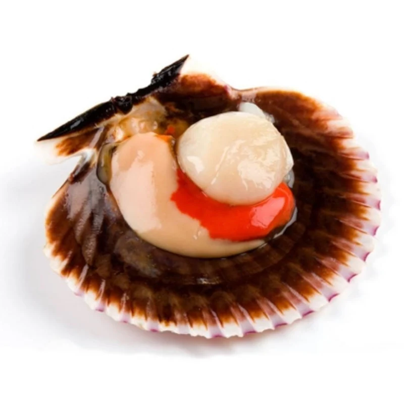 Premium Kammuscheln 'Zamburiñas' Gallega 115g