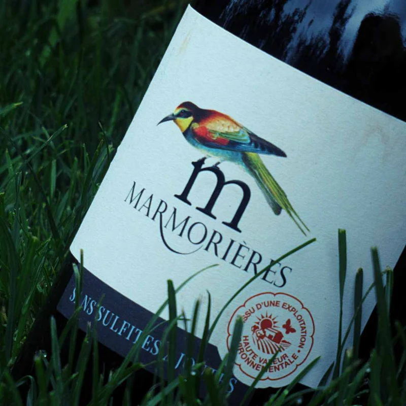 Les guepiers - Domaine de Marmorieres - Vin de France